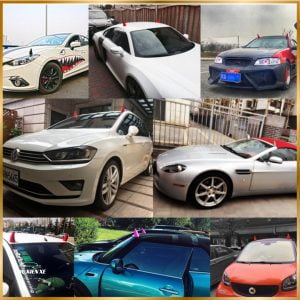 Phụ Kiện Mầm Xanh – Sừng Đỏ – Sừng Đen Trang Trí Nóc Xe Ô Tô – 1 Mầm Xanh - Hình 65